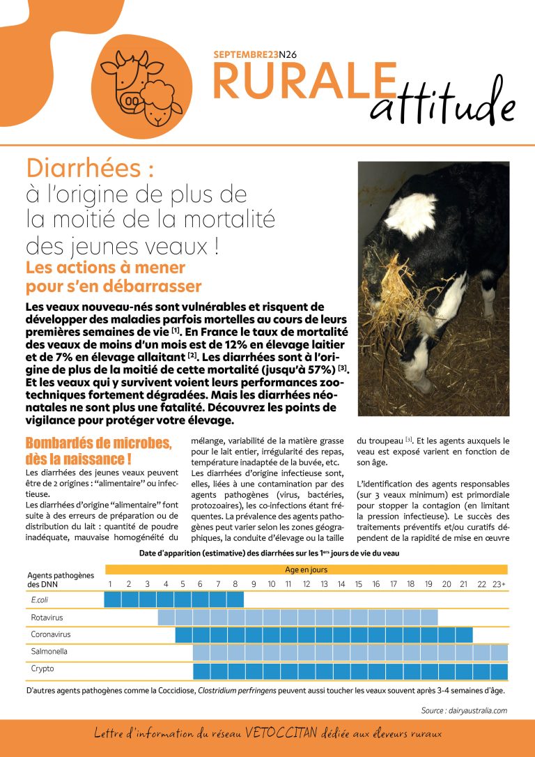 Rurale Attitude n°26 : gros plan sur les diarrhées et déshydratation des veaux