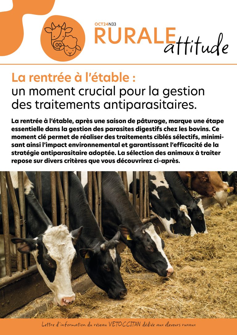 Rurale Attitude n 33 – Octobre 2024